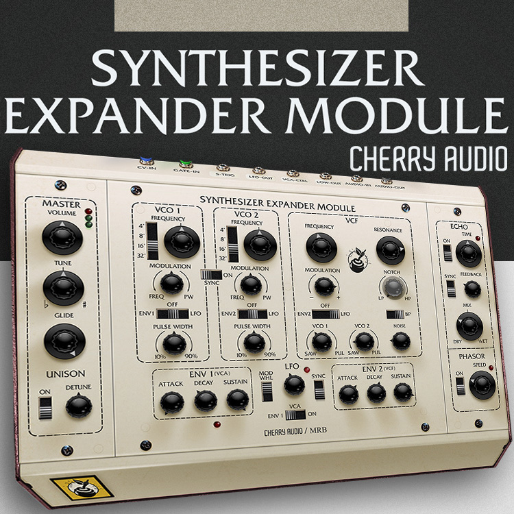Synthesizer Expander Module Synthesizer