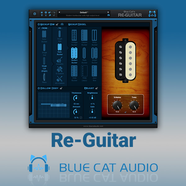 Blue Cat Re-Guitar